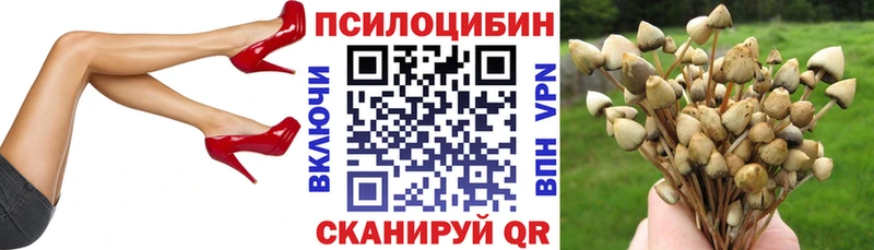 Псилоцибиновые грибы мицелий  Купить закладки  Ковдор 